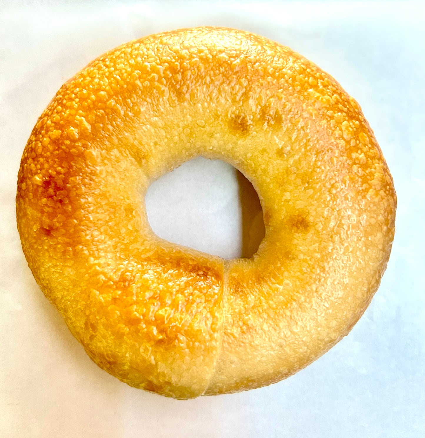 Single plain bagel